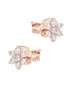 Beautiful Flower Silver Stud Earring STS-7122